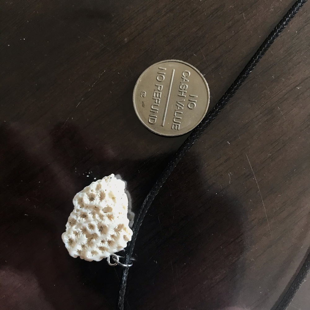 Coral fragment necklace